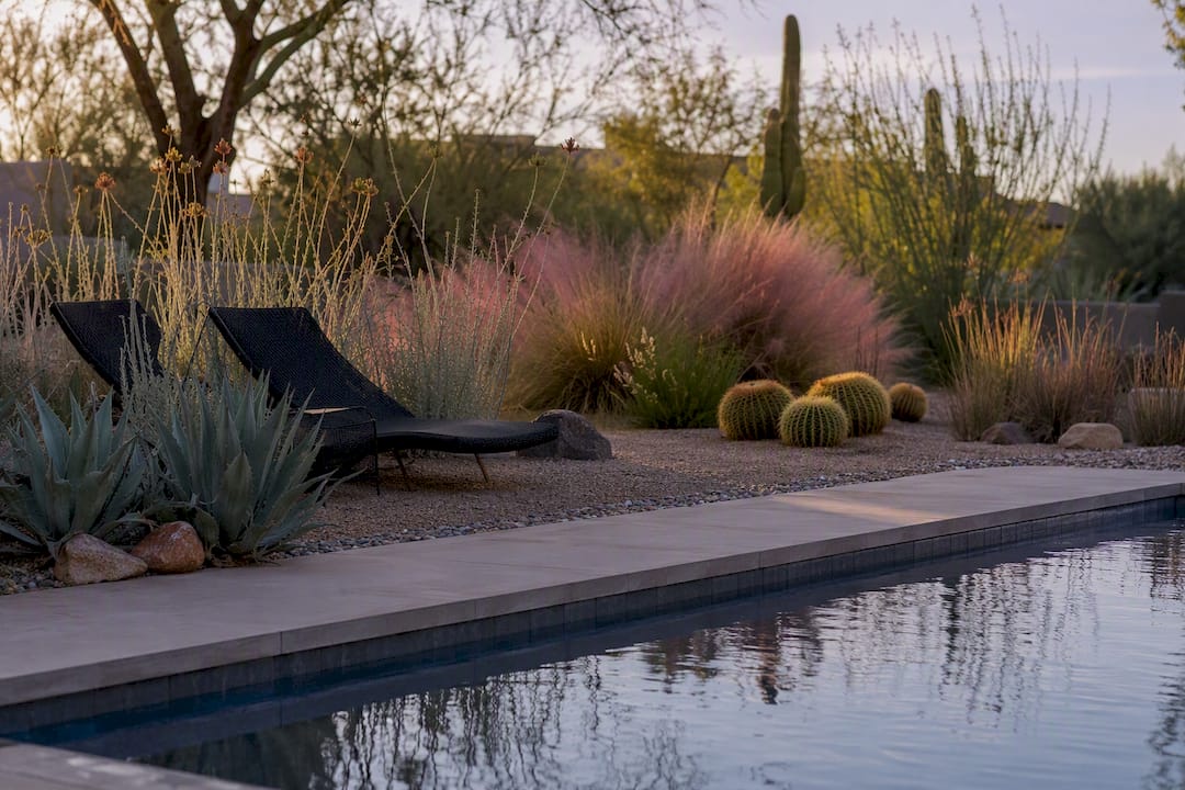 Desert poolscape featuring drought-tolerant plants