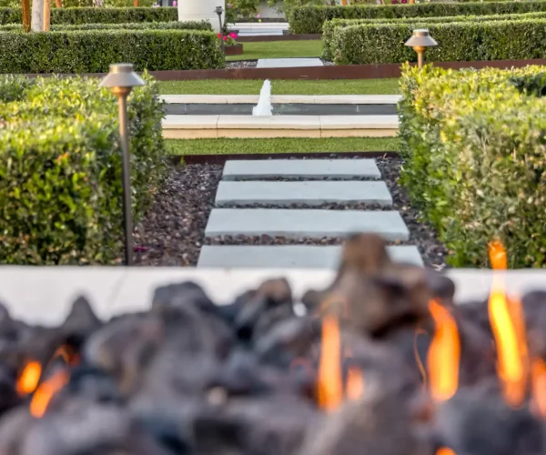 Phoenix Landscape Design Trends